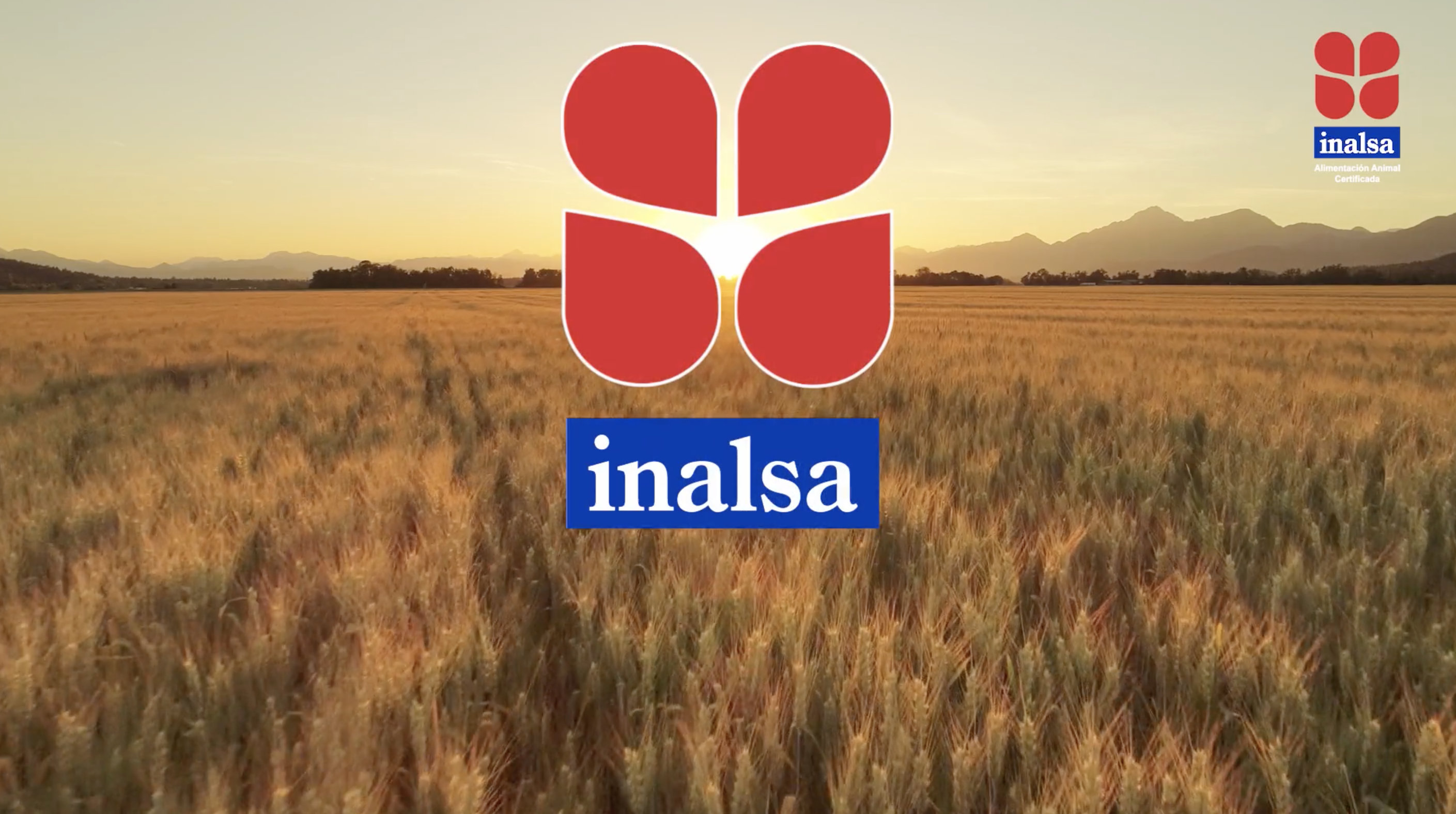 videos corporativos de empresas ambimedia producciones -inalsa